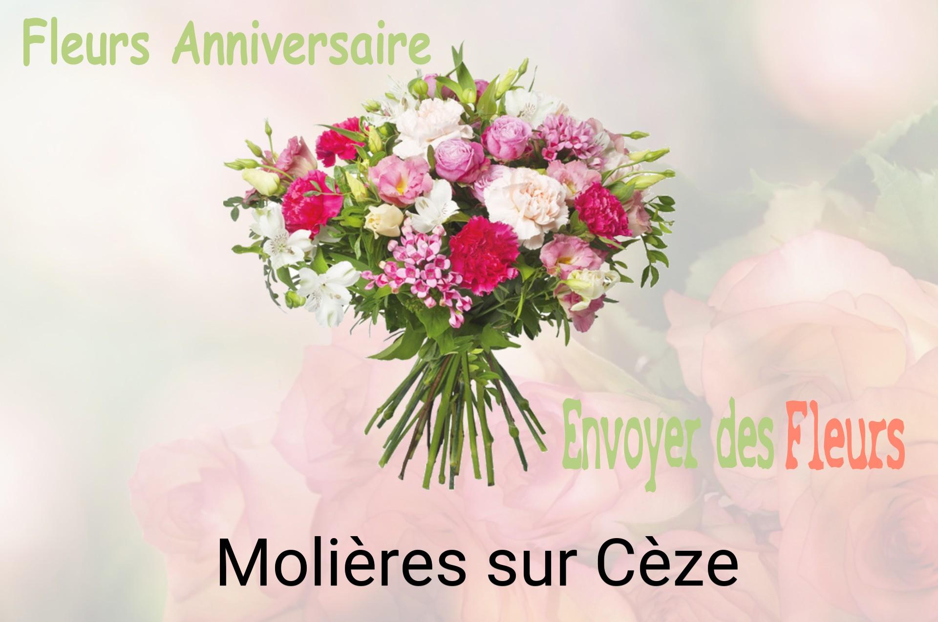 Bouquet de fleurs d’anniversaire livré à Molières-sur-Cèze