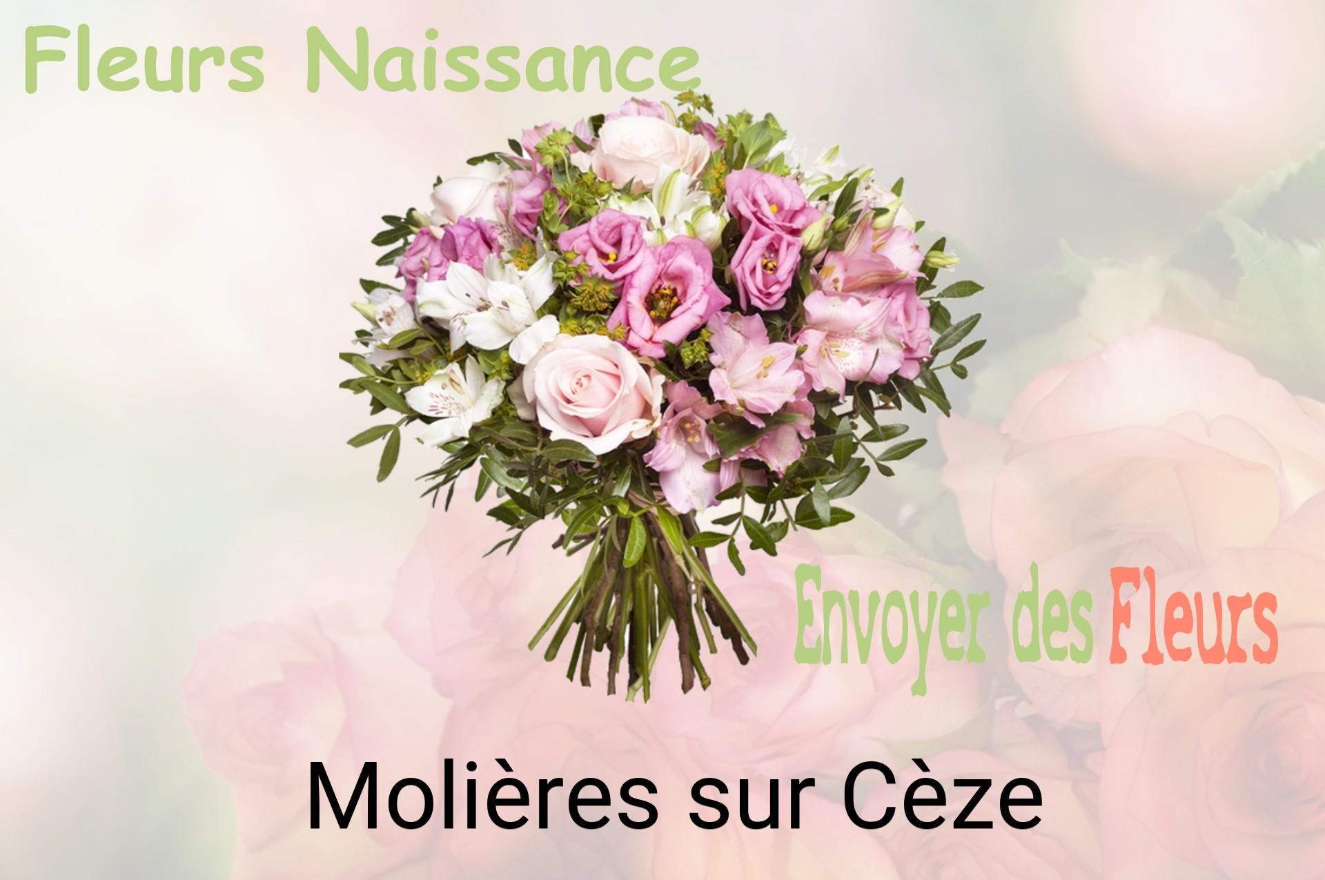 Bouquet de fleurs de naissance livré à Molières-sur-Cèze