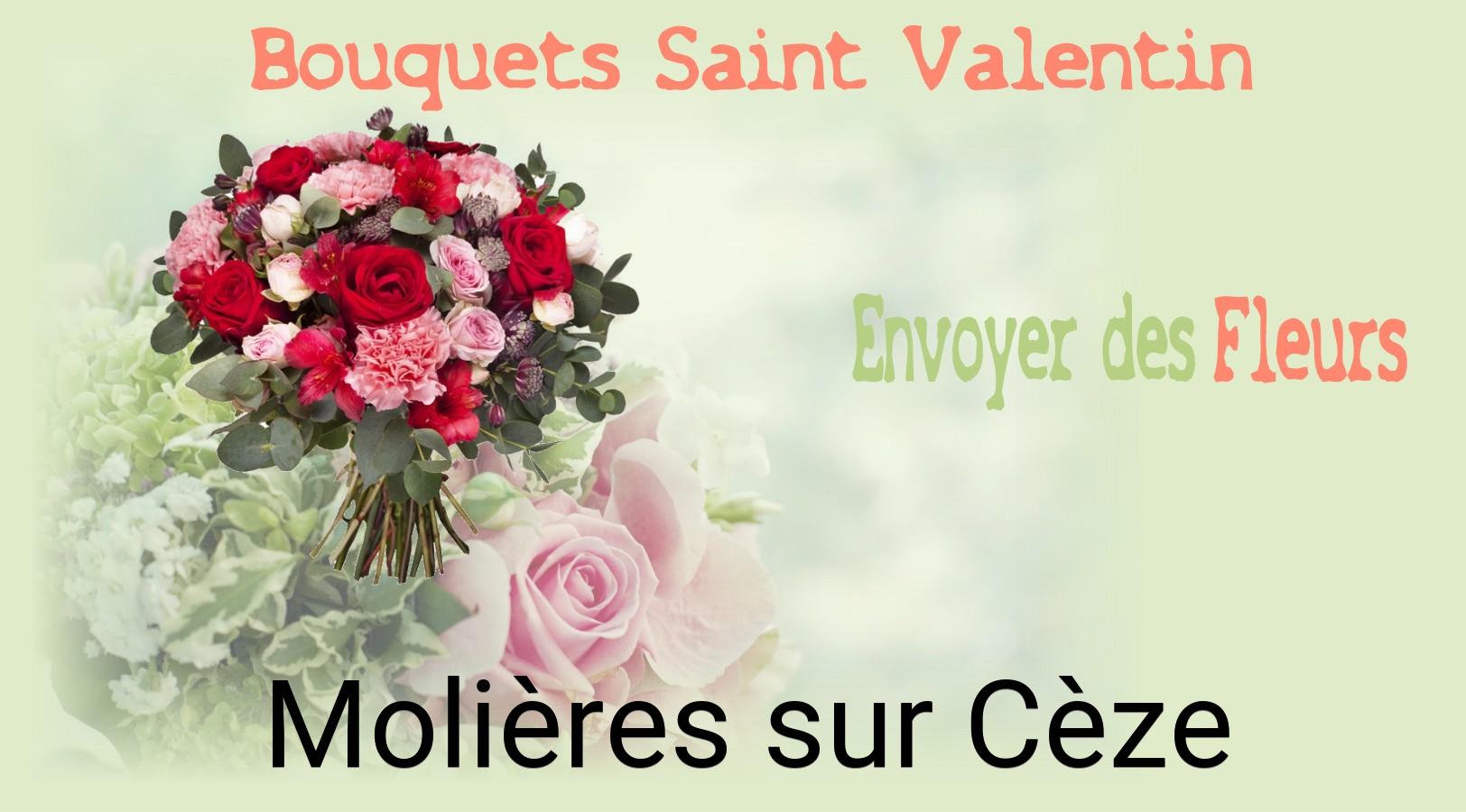 Roses de Saint-Valentin livrées à Molières-sur-Cèze