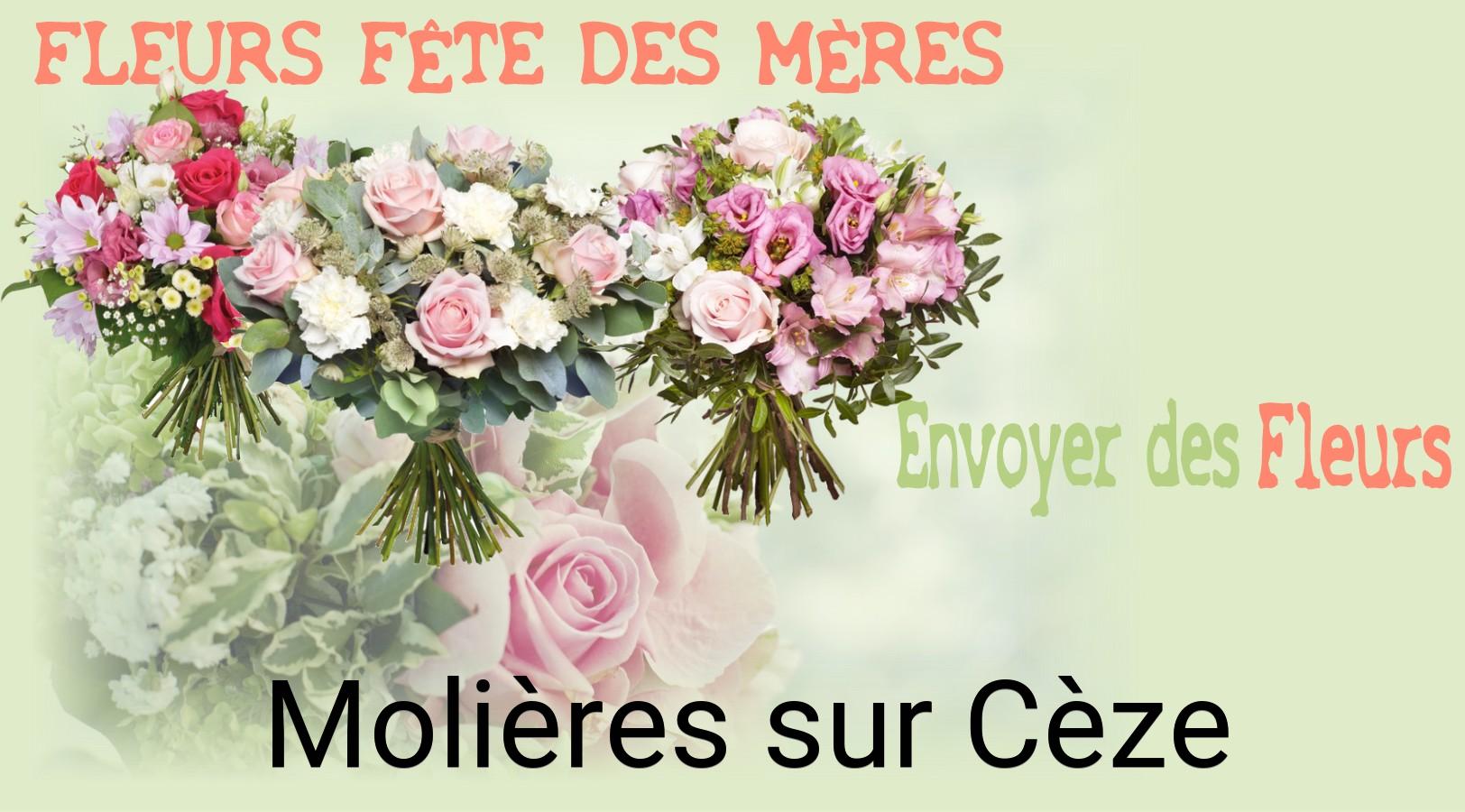 Bouquet de Fête des Mères livré à Molières-sur-Cèze